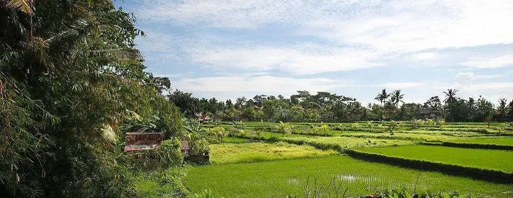 Villa Create Luv Play Ubud  Apartment